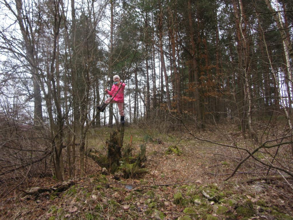 Gospodarstwo Agroturystyczno-Edukacyjne Gratka Celiny  エクステリア 写真