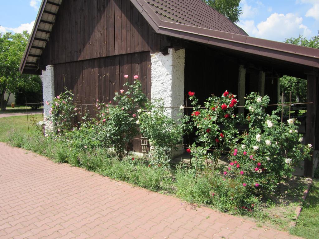 Gospodarstwo Agroturystyczno-Edukacyjne Gratka Celiny  エクステリア 写真