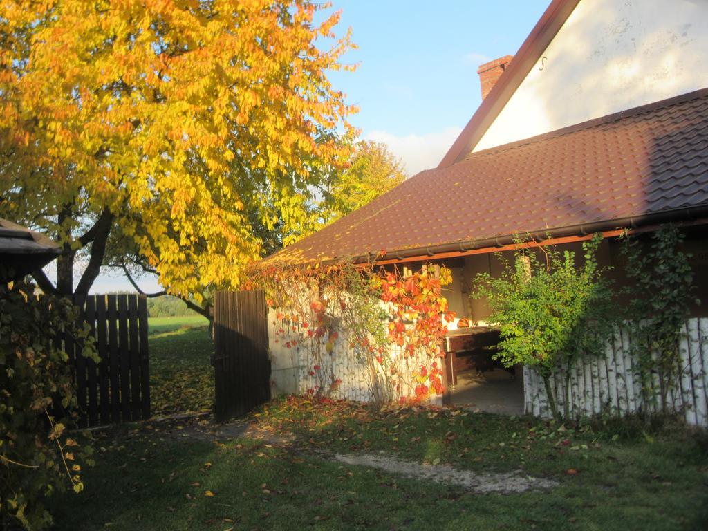 Gospodarstwo Agroturystyczno-Edukacyjne Gratka Celiny  エクステリア 写真